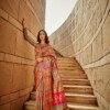 Brown Multicolor Kashmiri Saree