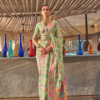 Mint Green Kashmiri Modal Saree