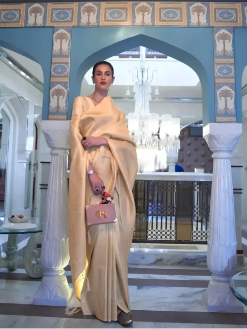 kanjiwaram (2) Ivory Beige Kanjivaram Saree